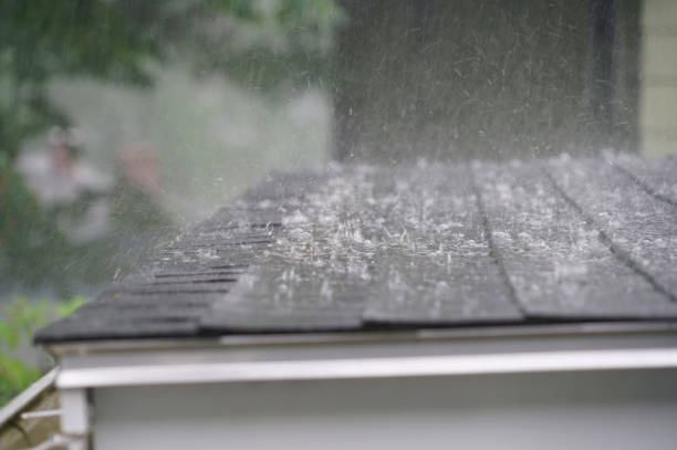 Best Roof Leak Repair  in Camp Springs, MD