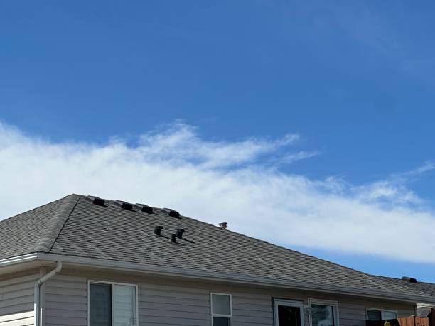 Best Steel Roofing  in Camp Springs, MD